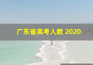 广东省高考人数 2020